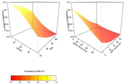 Automated quantification of atrophy and acute ischemic volume for outcome prediction in endovascular thrombectomy